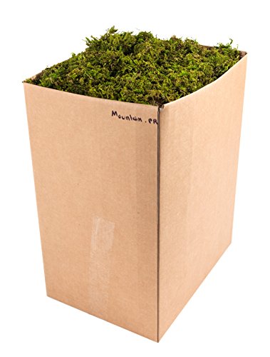 SuperMoss (23806) Mountain Moss – Natural Green Sphagnum Moss for Soil Top Dressing, Potting Mix, Garden Decor, and Craft Projects, 2,588 cu in, Preserved