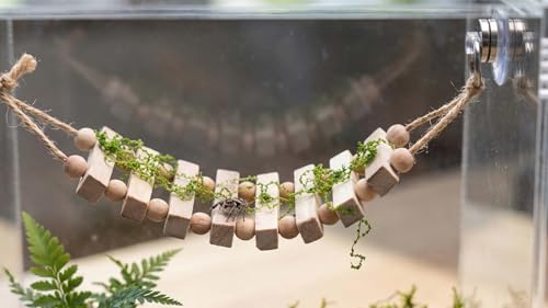 Jumping Spider Enclosure Accessories Magnetic Jumping Spider Rope Bridge with Artificial Moss Handmade Rectangular Solid Wood Suspension Bridge (Natural Wood Color)