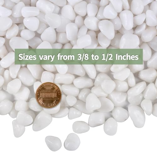 2.2lb White Polished Pebbles for Plants, 3/8 inch Decorative Rocks | Small Stones for Potted Planters, succulents, Vases, Landscaping Drainage and Outdoor Gardening - size: 2.2lb, style: White
