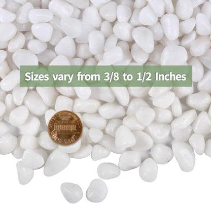 2.2lb White Polished Pebbles for Plants, 3/8 inch Decorative Rocks | Small Stones for Potted Planters, succulents, Vases, Landscaping Drainage and Outdoor Gardening - size: 2.2lb, style: White