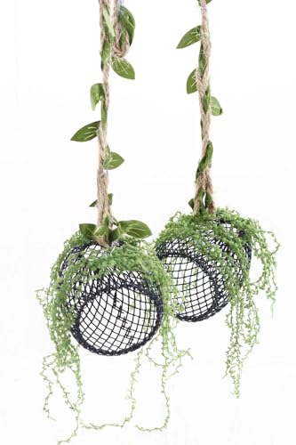 5Pcs Jumping Spider Enclosure Accessories with Hammock, Magnetic Climbing Rope, Resting Ledge Platforms and Feeding Dish Bowl & Hook for Terrarium Habitat (Two Hammocks) - color: Two Hammocks