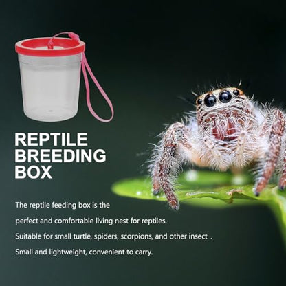 Sosoport 1pc Reptile Feeding Box for Insects and Mini Aquatic Pets Easy to Observe Habitat Strong and Wear- Design for Crickets and Reptiles - color: Transparent