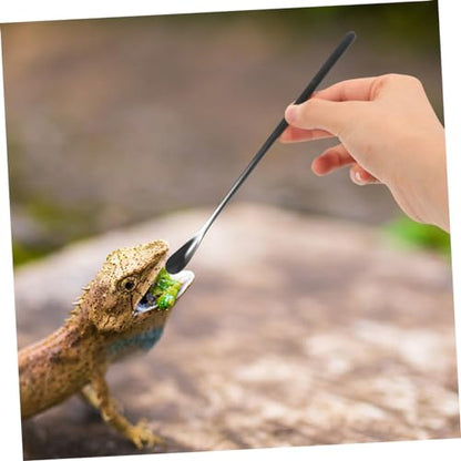 3pcs Small Reptile Feeding Spoon Lizard Food Scoop Multi-Functional Pet Spoon for Animals