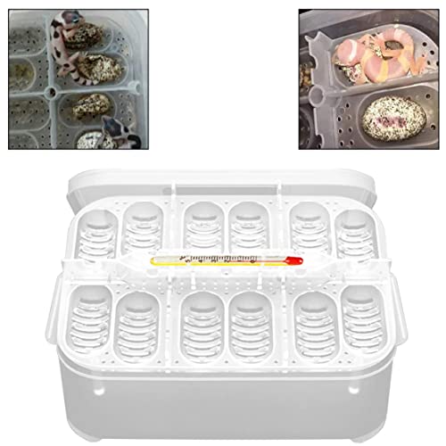 Reptile Incubation Box Reptile Incubator Egg Tray Hatching Box with 12 Grids for Turtle Gecko Lizards Mane Reptile Egg Incubators