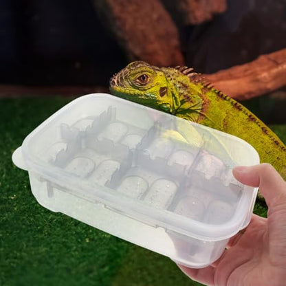 Reptiles Hatching Box Breeding Container for Geckos Turtles and Snakes Transparent Observation Lid Easy to Use and Clean for Home Store
