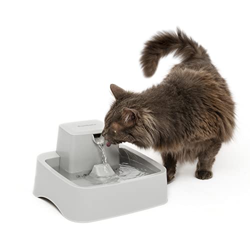 PetSafe Oasys Pet Fountain, 1/2 Gallon (64 oz), Small Dogs & Cats | Adjustable Water Flow, Whisker-Friendly Tray, Dishwasher-Safe, Replaceable Carbon & Foam Filters Included - size: 1/2 Gallon