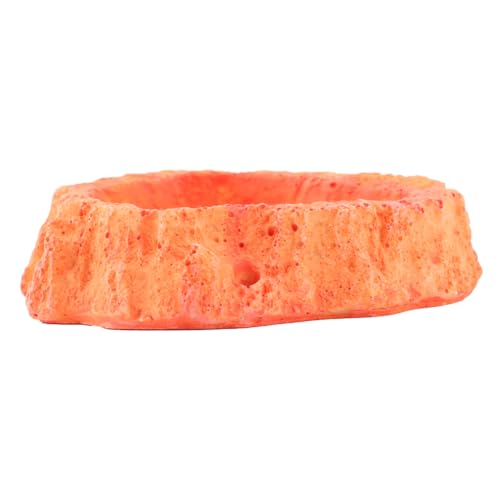 POPETPOP Reptile Feeder Bowl for Lizard Turtle Skid-Resistant Easy-Clean Odorless Food Water Storage Basin