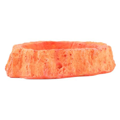 POPETPOP Reptile Feeder Bowl for Lizard Turtle Skid-Resistant Easy-Clean Odorless Food Water Storage Basin