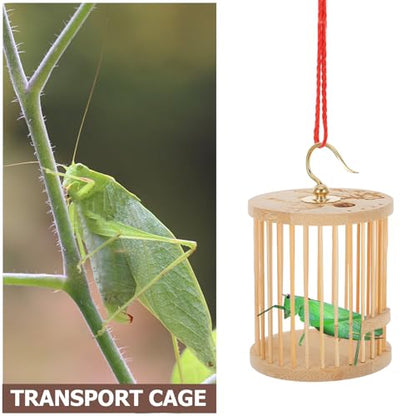 Wooden Cricket Cage Feeder with Ample Space and Ventilation, Portable Grasshopper Habitat Cage for Crickets and Reptiles, Sturdy Insect Enclosure for Breeding and Transport