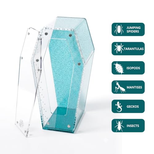 Installation Free Glitter Acrylic Coffin Jumping Spider Enclosure - Gothic Terrarium Habitat with Magnetic Lid, Micro Reptile Breeding Box for Slings, Mantis, Isopods and Small Insects (Glitter Blue) - color: Glitter Blue