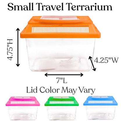 Needzo Mini Neon Plastic Reptile Carrier, Small Terrariums for Hermit Crabs, Lizards, and More with Palm Tree Accessory, Crab Hunting Supplies, Color May Vary, 7 Inches