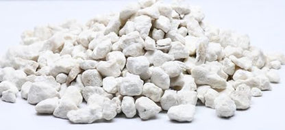 Calcium Bits: Calcium Supplement for Aquatic Pets - Natural Source of Calcium Suitable for Aquariums, Neocaridina Shrimp, Aquarium Snails, Crustaceans, Invertebrates and Other Aquatic Pets 3 oz