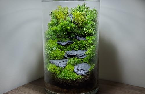 USA Natural Slate 3-5" for Aquariums, Reptiles, Terrariums, Miniatures 12lb | Hand sorted, tumbled & washed in the US by our family-owned small business. Great in paludariums, mosaics & fairy gardens too - size: 12 Pounds