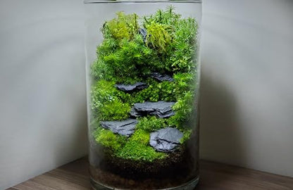 USA Natural Slate 3-5" for Aquariums, Reptiles, Terrariums, Miniatures 12lb | Hand sorted, tumbled & washed in the US by our family-owned small business. Great in paludariums, mosaics & fairy gardens too - size: 12 Pounds