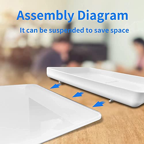 Digital Pet Scale for Small Animal, Whelping Scale,Mini Precision Gram Weight Balance Scale, High Precision 1g, Suitable for Newborn Pets - color: White 1g