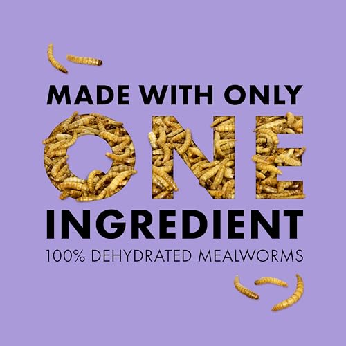 Zilla Reptile Munchies, Mealworms, All-Natural, Dehydrated Mealworms, Ideal for Bearded Dragons, Leopard Geckos, Chameleons and other lizards, Resealable Bag | All-Natural, Dehydrated, Ideal for Bearded Dragons, Leopard Geckos, Chameleons and Other Lizard