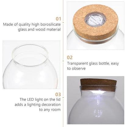 Glass Terrarium Jar with Led Light, Closed Terrarium Jar with Lid for Moss, Succulents and Betta Fish Tank, Large Clear Round Desk Plant Container Ecosystem for Home & Office Decor (no Plants) - size: 10.50X10.00X10.00CM