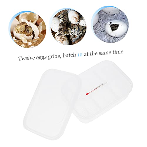 Abaodam 1Pc Reptile Egg Incubator with Compartments Durable Hatching Box for Snakes and Geckos Easy to Clean and Manage Temperature Gauge Included for Scientific Research