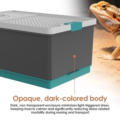 Self-Cleaning Reptile Feeder Insect Habitat with Escape-Proof Lid, Removable Climbing Frame, Water Sponge & Bug Spoon – Cricket/Roach Enclosure, Easy-Clean, Ventilated for Lizards, Frogs & Pets