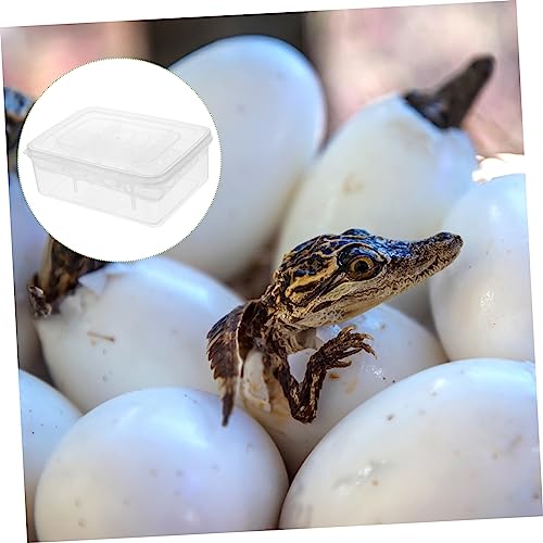 HANABASS 2Pcs Compartment Box Transparent Hatching Container for Tortoise Lizard Lightweight and Portable for Reptile Breeding