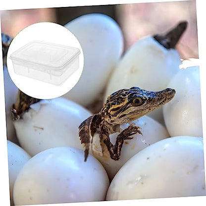 HANABASS 2Pcs Compartment Box Transparent Hatching Container for Tortoise Lizard Lightweight and Portable for Reptile Breeding
