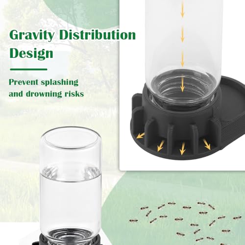 2-in-1 Ant Feeder & Waterer 10ml (Gray) – Dual Purpose Water Dispenser and Food Tray for Ant Farms