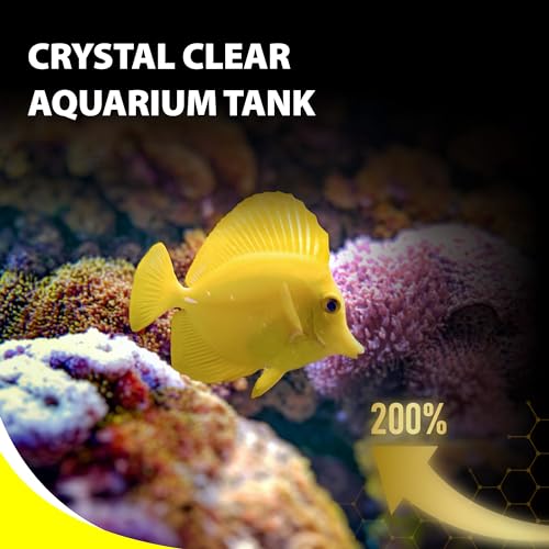 Purify Series for Marine Fish Food | Saltwater Fish Sinking Pellets, Suitable for Clown Fish, All Natural Ingredients, 2.65 oz - style: Marine Fish
