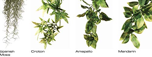 Exo Terra Silk Terrarium Plant, Medium, Ruscus - color: Green, size: Medium