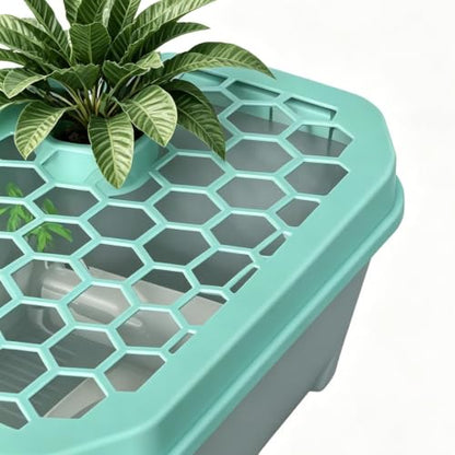 Turtle Aquarium Aquatic Reptile Terrarium | Small Turtle Tank for Living Room Basking Tortoise Crayfish Hermit Crabs Frog Reptile Desktop Home Breeding