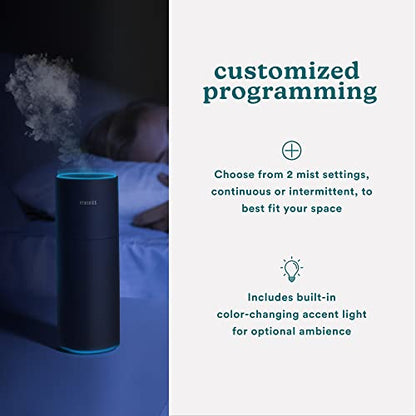 Homedics Portable Humidifier - Small Air Humidifiers, Matte Black | for Bedroom, Plants, Office, Travel - Cool Mist Humidifiers, Color-Changing Accent Light, 2 Mist Settings - color: Black