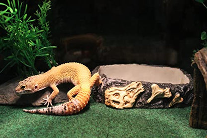 Penn-Plax Reptology Reptile Fossil Rock Food/Water Dish – Great for Bearded Dragons, Geckos, Chameleons, Snakes, Hermit Crabs, and Many More – Medium - size: Medium