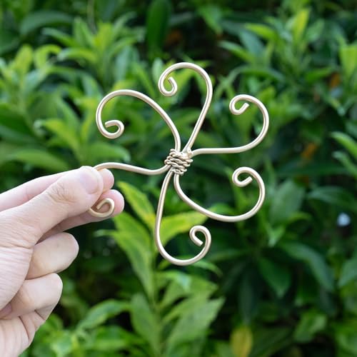 5PCS Plant Stem Support-4.1 * 4.1IN Gold Metal Stem Stabilizers | Durable Iron Grapple Holder for Monstera & Climbing Plants,Unique Design for Optimal Growth,Leaf Stabilization and Support - size: 4.1*4.1IN