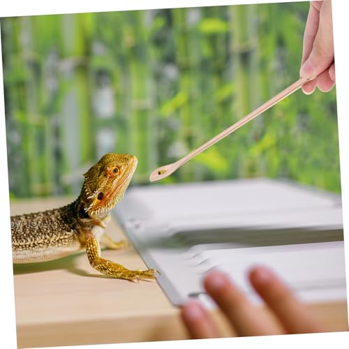 Toddmomy 2Pcs Reptile Feeding Spoon Durable Stainless Steel Spoons for Wet Food for Lizards Turtles and Small Animals Design Reusable and Easy to Clean