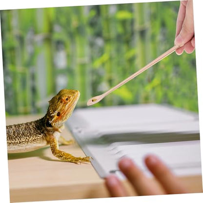 Toddmomy 2Pcs Reptile Feeding Spoon Durable Stainless Steel Spoons for Wet Food for Lizards Turtles and Small Animals Design Reusable and Easy to Clean