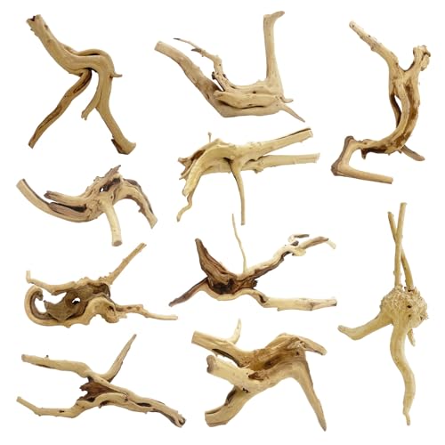 10 Pcs Natural Small Spiderwood for Aquarium, Aquarium Driftwood Freshwater 4-6 Inch, Assorted Size Spider Wood, Twisted Branches for Fishtank Accessories, Reptile Terrariums Decorations - color: 10 PackSpiderwood 4-6in