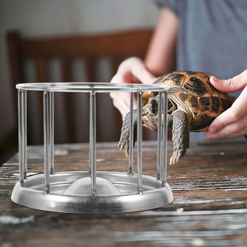 POPETPOP Stainless Steel Reptile Water Dish : Tortoise Feeder with Stable Base Reptile Food Bowl for Bearded Dragon Lizard Frog Gecko, 4.32X4.32X3.14in