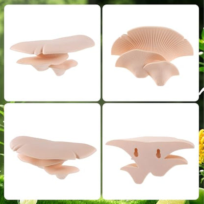 Mushroom Decor Climbing Hold Reptile Tank Pet-Safe Bearded Dragon | Tank Accessories, Climbing Rest Platform Habitat, Concealed Jumping Spider Habitat, Gecko Lizards Leopard, Turtle Hermit Crab