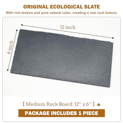 Rock Basking Platform with Bowl & Mat for Reptiles Medium | Non-slip base; rough top for claw grinding. Has food bowl & porous surface holds moisture. Fits tortoises, dragons & lizards. - size: Medium- Size