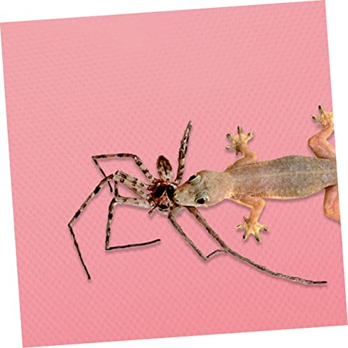 Reptile Carpet Substrate Mat for Leopard Gecko and Bearded Non-Adhesive Terrarium Liner Durable Snake Pad Reptile Cage Accessories and Supplies