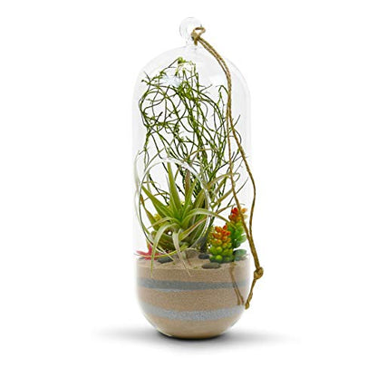 WGV Hanging Glass Plant Terrarium, Width 5", Height 12", Lantern DIY Air Succulent Planter Clear Tea Light Votive Candle Holder, Wedding Event Office Home Outdoor Decor, 1 Piece