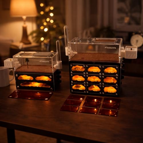 Lumen Series-Hotel with Built-in Lights and Replacement Lights with Water Feeder and Trash Box with Start Kit - size: Hotel