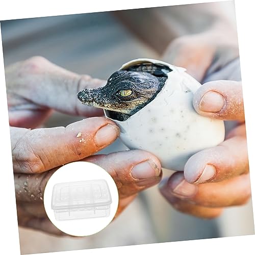 VOSAREA 2pcs Cavity Reptile Egg Incubation Tray for Tortoise and Lizard Hatching Breeding Box for Easy Observation of Egg Development