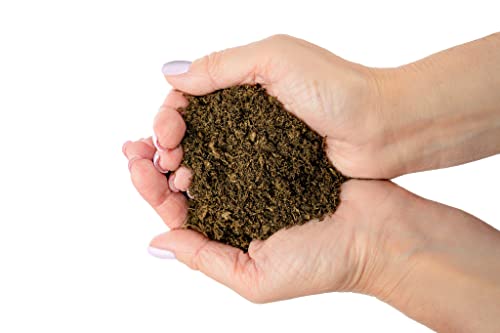 Premium Natural Sphagnum Peat Moss - Gardening Soil Amendment and Carnivorous Plant Soil Media by Gardenera (2 Quart Bag) - color: PEAT MOSS, size: 2 Quart