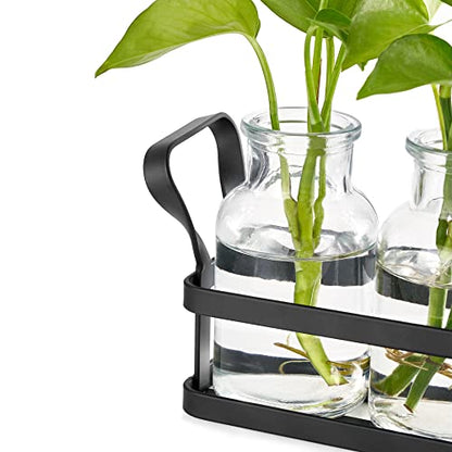 Mkono Propagation Stations, 3 Jars Desktop Glass Plant Terrarium with Stand | Flower Vase, Hydroponic Cuttings, Easy Water Refill,Clear Root View Planter,Farmhouse Home Office Decor, Gardening Lover Gift - size: Medium