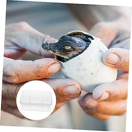 Kisangel 2pcs Reptile Egg Incubator with Compartment Hatching Box for Lizards and Tortoise Eggs Durable Transparent Easy to Clean and Reusable Breeding