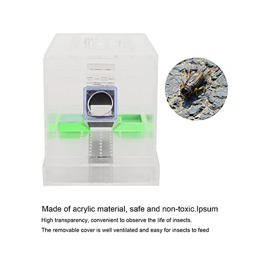 Pssopp Cricket Keeper Acrylic Cricket Pen with Hiding Tubes Transparent Design Convenient for Cricket(S)