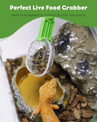 Pawfly 3 Colors Reptile Terrarium Feeding Clamp & Scoop Set - Plastic Bug Scooper, Poop Scoop for Bearded Dragon, Gecko, Lizard, Snake | Reptile Habitat Cleaning Supplies