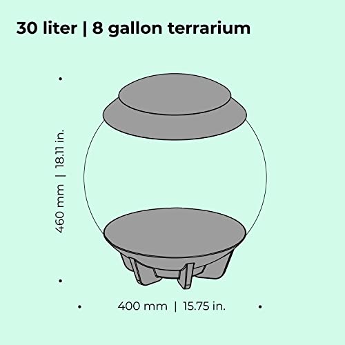 biOrb AIR 30, Fully Automated Terrarium for Arid, Temperate, or Tropical Plants, Gray - color: Grey