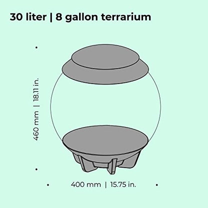 biOrb AIR 30, Fully Automated Terrarium for Arid, Temperate, or Tropical Plants, Gray - color: Grey