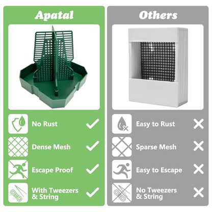 2PCS Reptile Hunting Bowl,5.8"×5.8"×6.1" H Insect Feeding Box with Rope and Tweezers Chameleon Feeder Bowls Hanging Bearded Dragon Bug Bowls Mounted Insect Reptile Feeder Box (Green,Large) - color: Green, size: Large:5.8"L×5.8"W×6.1"H
